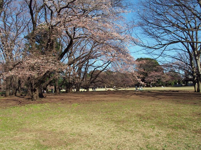 P3270017