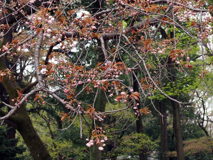 P4100032