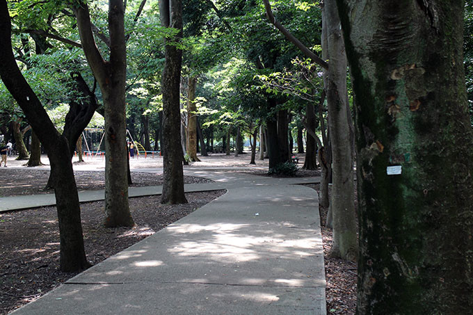 砧公園の木陰