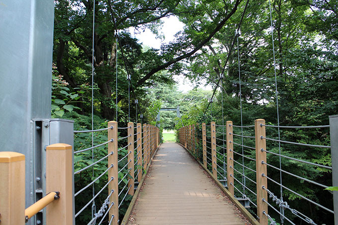砧公園吊り橋