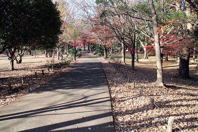 紅葉は終わり