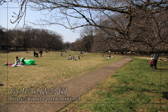 砧公園ファミリーパーク