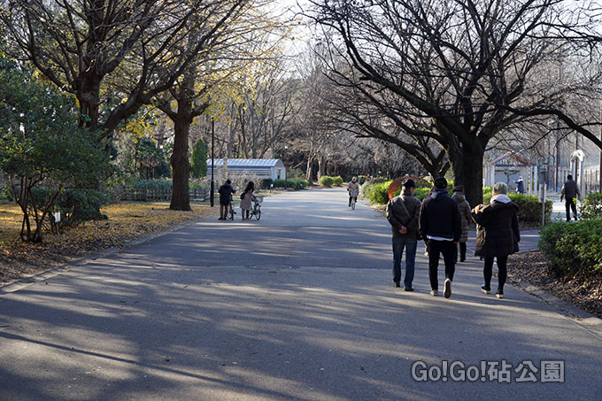砧公園お散歩