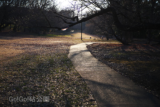 園路に落ちる陰