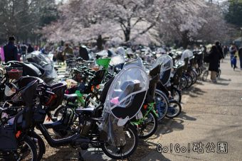 砧公園自転車