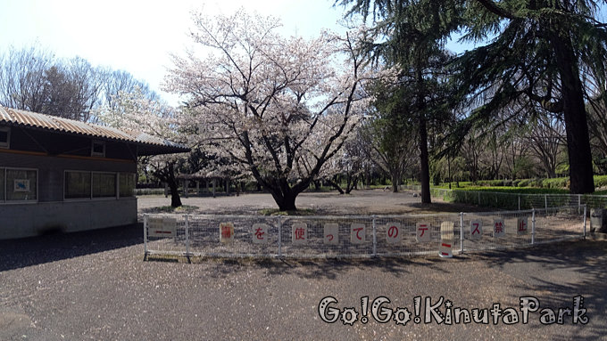 チリリン広場