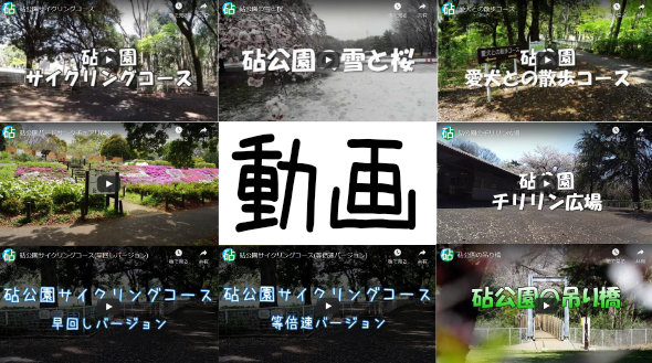 砧公園動画